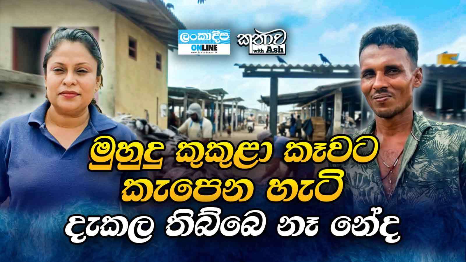 මුහුදු කුකුළා කෑවට  කැපෙන හැටි දැකල   තිබ්බේ නෑ  නේද?
