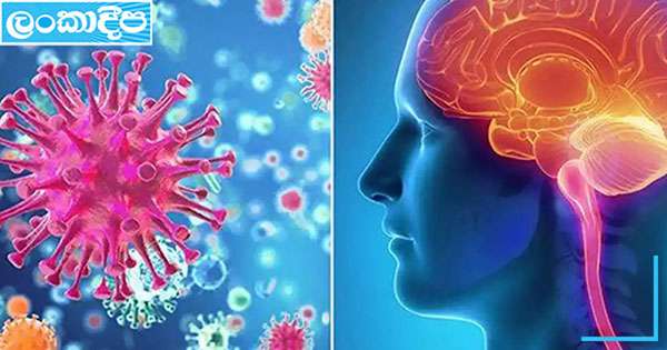 මොලේ උණ ලෙඩ්ඩු  66 ට නගී