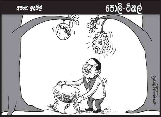 පොලි ටිකල් 26-06-2026