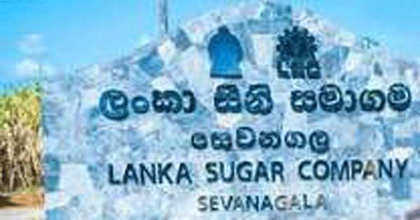 සෙවනගල සීනි සමාගමෙන් විශේෂ නිවේදනයක්