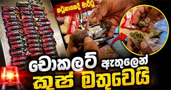 කෝටියක කුෂ් සමඟ අයෙක් මාට්ටු