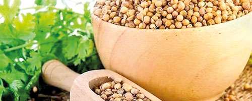 කොත්තමල්ලි වල මොනවාද ඇත්තටම ගුණ? අගුණ ?
