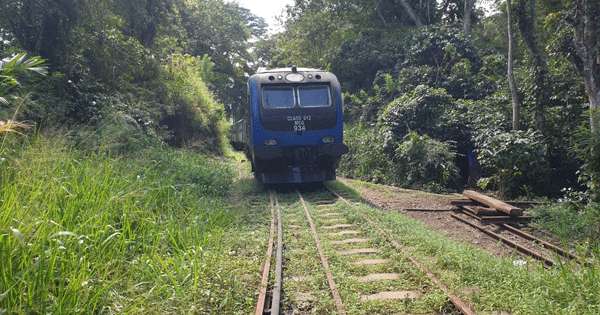 ‘‘දිට්වාවට‘‘ මාස හතරයි:නවලපිටිය දුම්රිය තවමත් කැලේ මැද