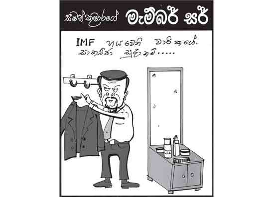 මැම්බර් සර් 03-02-2026