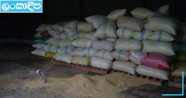 අලි වී ගබඩා කඩති