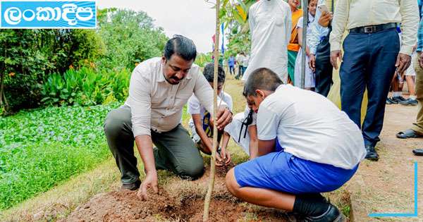 පරිසරයට හානි කරන අයට දැඩි නීති පියවර