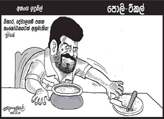 පොලි ටිකල් 29-05-2026
