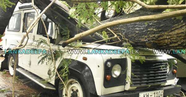 මාර ගසක් කඩා වැටී ඩිෆෙන්ඩර් දෙකකට හානි