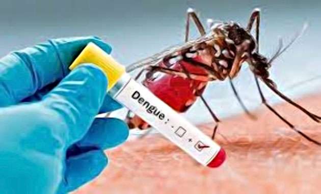 ඩෙංගු ලෙඩ්ඩු 80,000 පනී