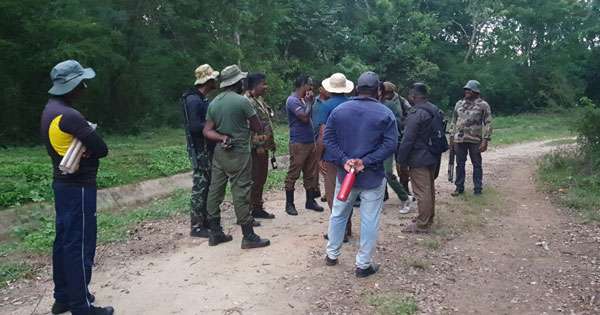 හම්බන්තොට අලි  කැලේට පැන්නීම සාර්ථකයි