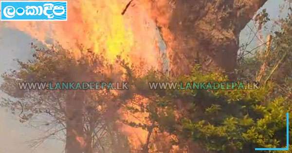 සෙන් ක්ලේයාර් දිය ඇල්ල රක්ෂිතයේ ගින්නක්