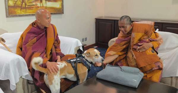 පඤ්ඤාකර හිමි ඇතුළු පිරිස දිවයිනෙන් පිටව යති