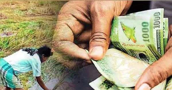 එල්නිනෝ වගා හානි වන්දි එන සතියෙන් ඇරඹේ