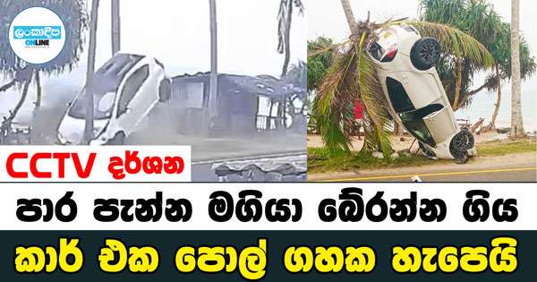 මෝටර් රථය මගියා බේරාගන්න ගිහින් පොල්ගහට ගිහින්
