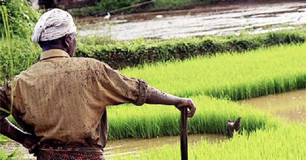 මහවැලි ඉඩම් ගොවීන්ට බද්දට