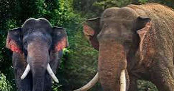අග්බෝ’ සොයා ගනී