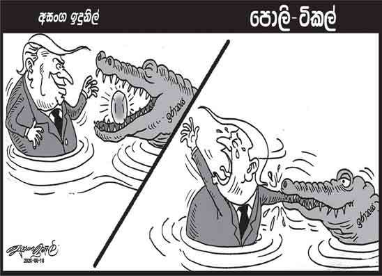 පොලි ටිකල් 18-08-2026