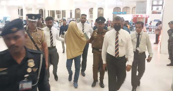 S.F සුද්දා රැගෙන එයි