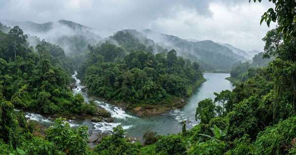 ඉහළ ජල පෝෂක රකින්න අධිකාරියක්