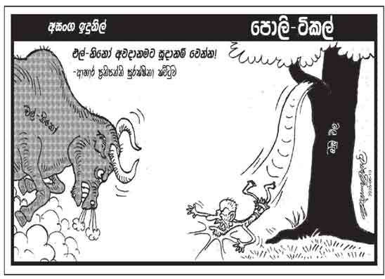 පොලි ටිකල් 11-06-2026