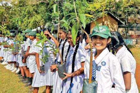 Agrovista Plantation සමාගම 2030 වන විට ‘මාතෘභූමියට මිලියනයක් ගස්’ වැඩසටහන අරඹයි