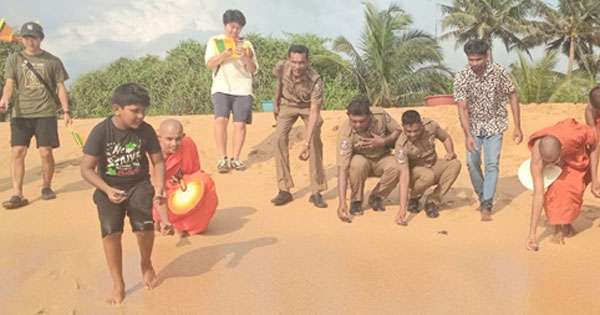 යුද ගිනි නිවෙන්නැයි පතා කැස්බෑවන්ට නිදහස