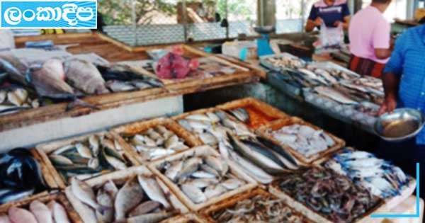 මාලු මිල ශීඝ්‍රයෙන් ඉහළට