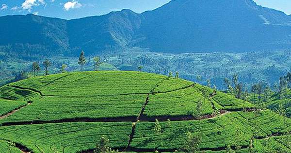 මධුසමයට හොඳම රටවල් 25 අතරට ලංකාවත්