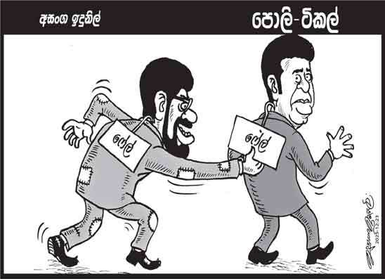 පොලි ටිකල් 23-12-2025