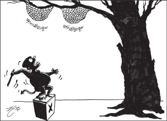 දාස 20-01-2026