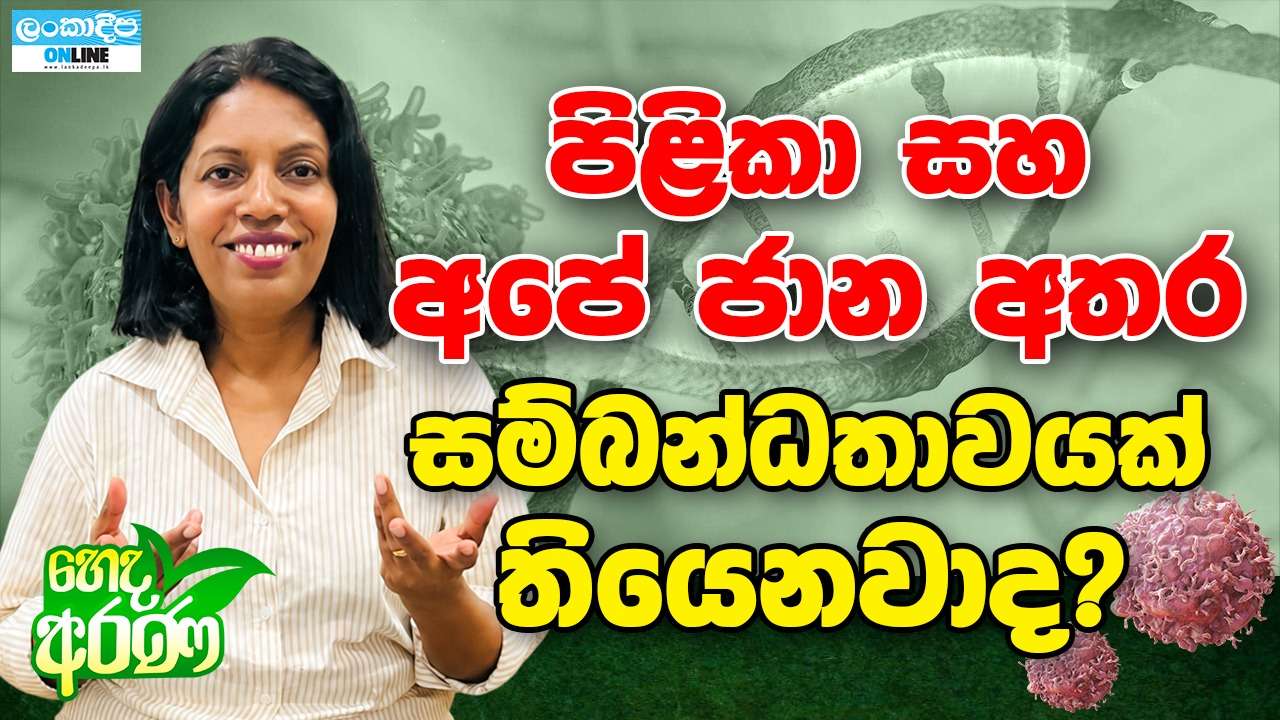 පිළිකා සහ අපේ ජාන අතර සම්බන්ධතාවයක් තියෙනවාද ?