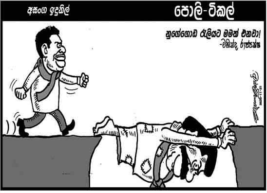 පොලි ටිකල් 21-11-2025