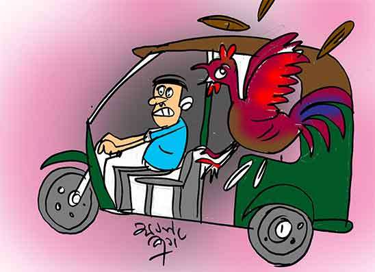 කිකිළි තනිකර කුකුළා බැස ගිහින්