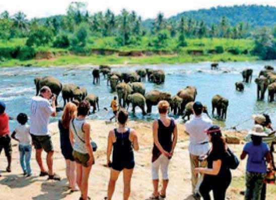 සංචාරක පැමිණීම් ලක්ෂ 17 ඉක්මවයි