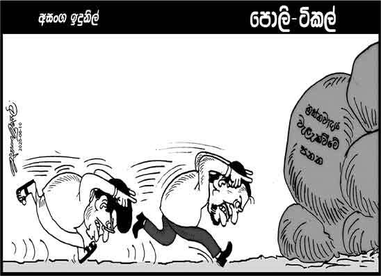 පොලි ටිකල් 10-06-2026