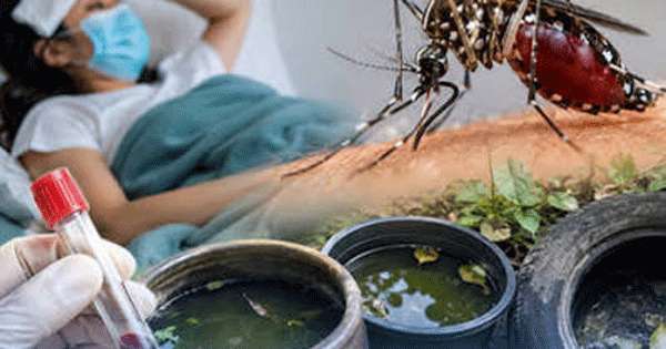 ඩෙංගි අධි අවදානම් කලාප 60 ක්