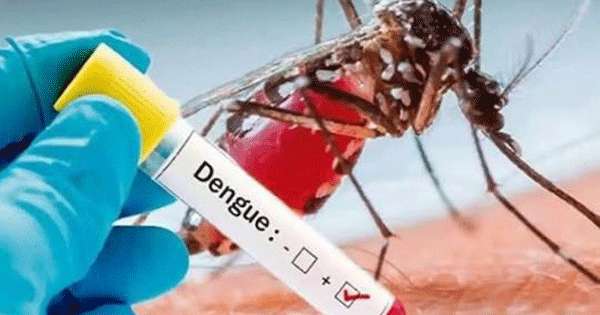 ඩෙංගු ලෙඩ්ඩු 90,000ට ළංවෙයි: මරණ 65 ක්