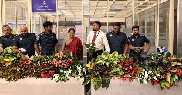 හොරෙන් ඇන්තූරියම් ගෙනා කන්තාවෝ දෙකක් මාට්ටු