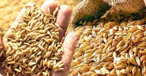 වැලිකන්දේ ගොවීන්ට වී වලට මුදල් ලැබී නෑ