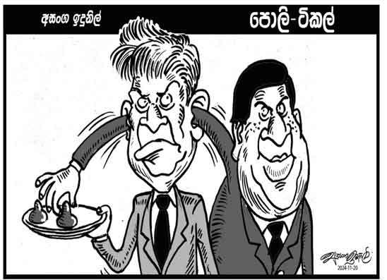 පොලි ටිකල් 20-11-2024