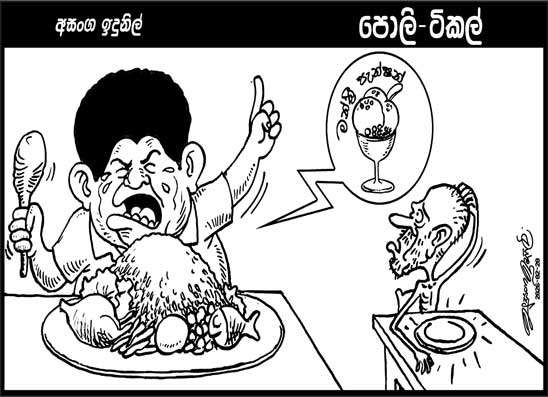 පොලි ටිකල් 20-02-2026