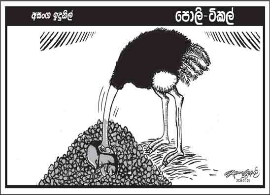 පොලි ටිකල් 29-01-2026