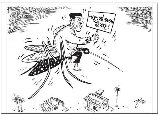 දාස 15-07-2026