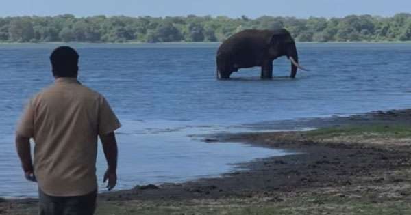 ආඩම්බරකාර කාවන්තිස්ස දැන් යහපත්