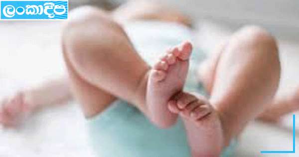 බිලිඳු සොහොන හාරා රන් සොයලා