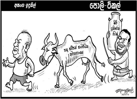 පොලි ටිකල් 16-07-2025
