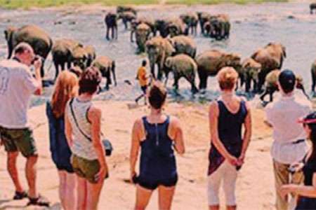 ජනවාරි මුල් දින 25 දී සංචාරකයෝ  223,645ක් පැමිණිලා