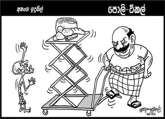 පොලි ටිකල් 23-10-2026