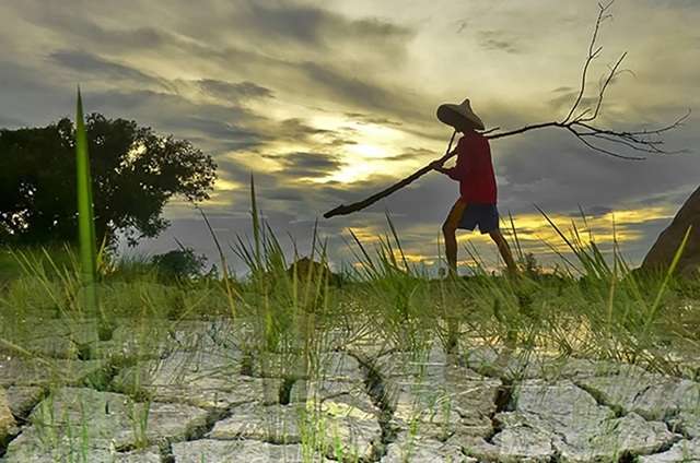 එල් නිනෝ (El Niño) අපිට මොනවා කරයිද?