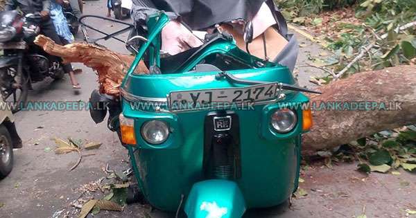 තුන්සක රියට අත්තක් කඩා වැටී හෙද නිලධාරියා මරුට